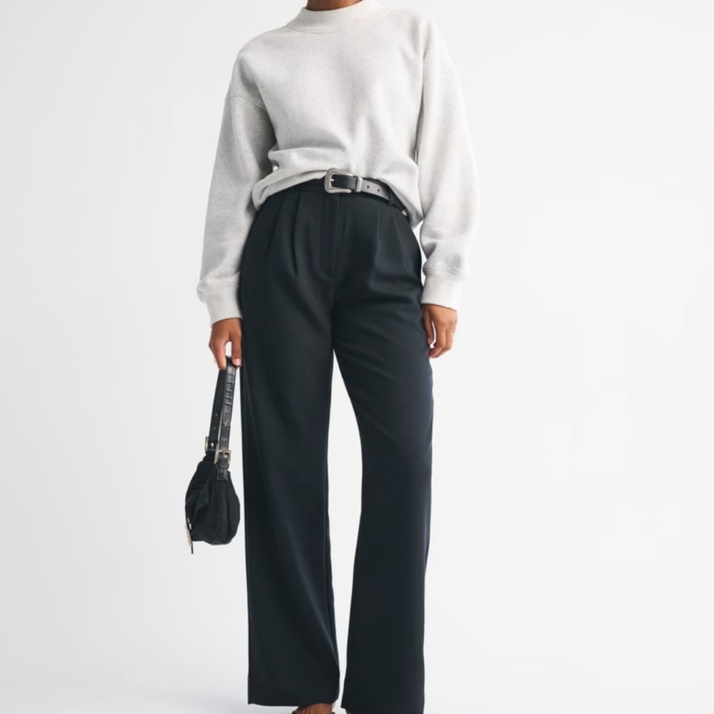 Abercrombie & Fitch Curve Love Sloane Tailored Wide Leg Pant Size 25 L